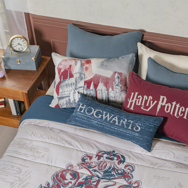 Edredon Hogwarts